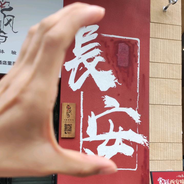 故里归长安