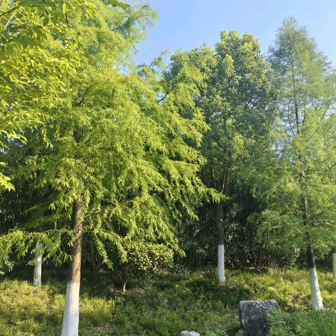 努力只为遇见更好的自己