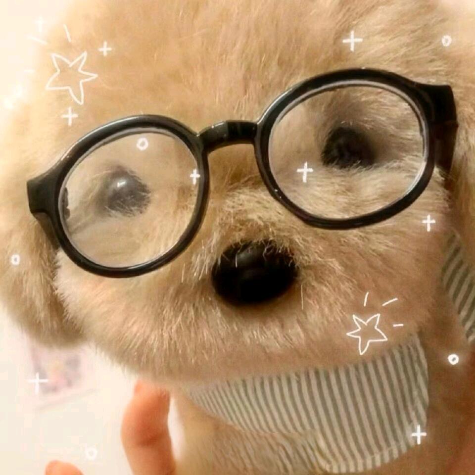 💗᭄余生ᝰᩚ随心ꦿ