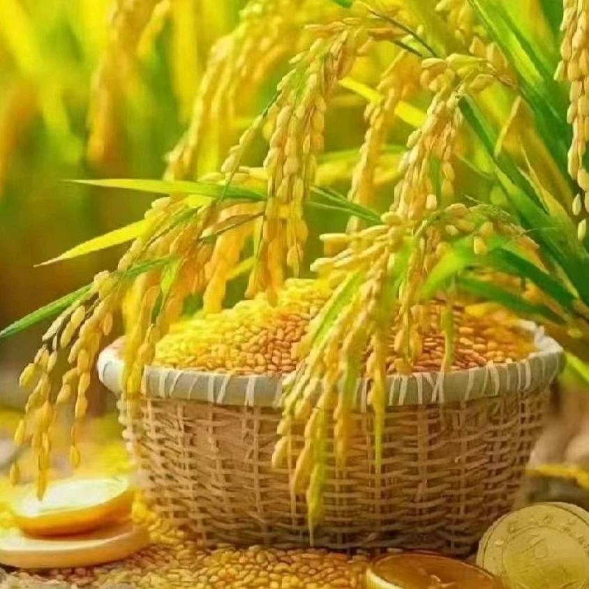 铭妈爱分享