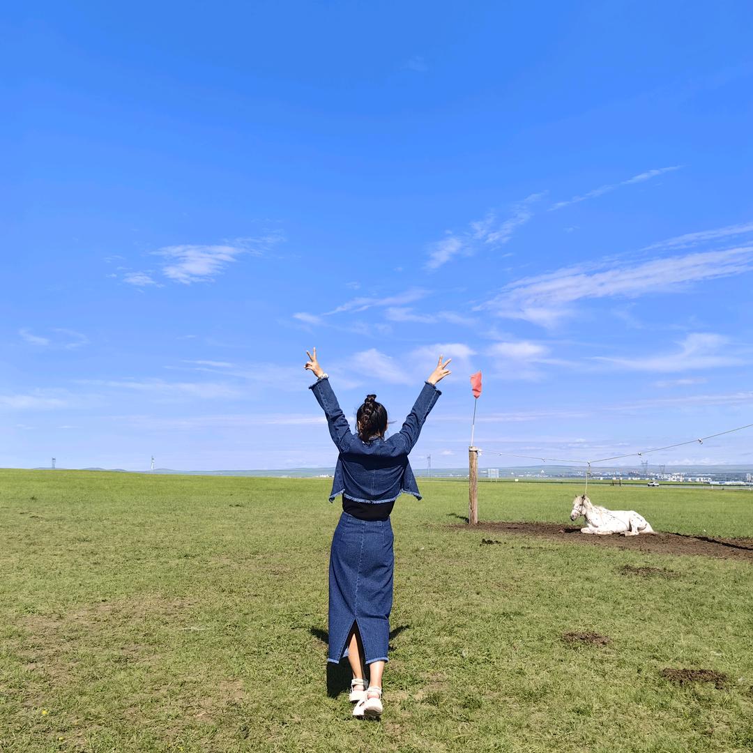 醉酒的扑楞蛾子