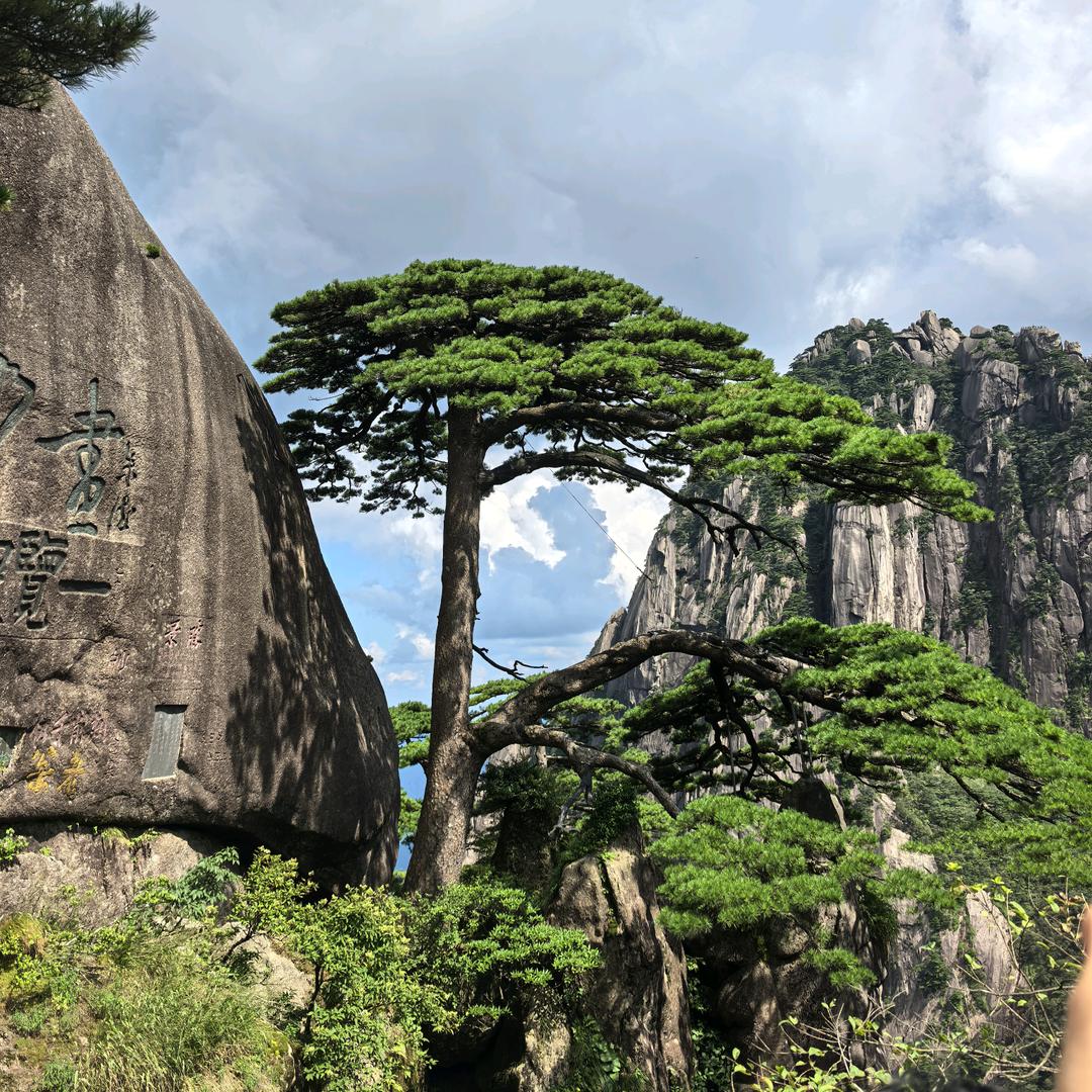 @玲 儿 🌱
