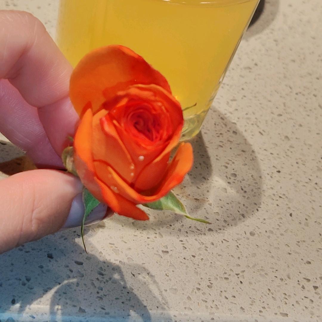 爱笑的菇凉