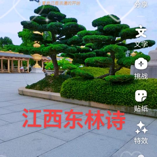 流年不负笑