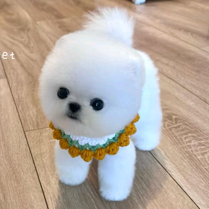 老二