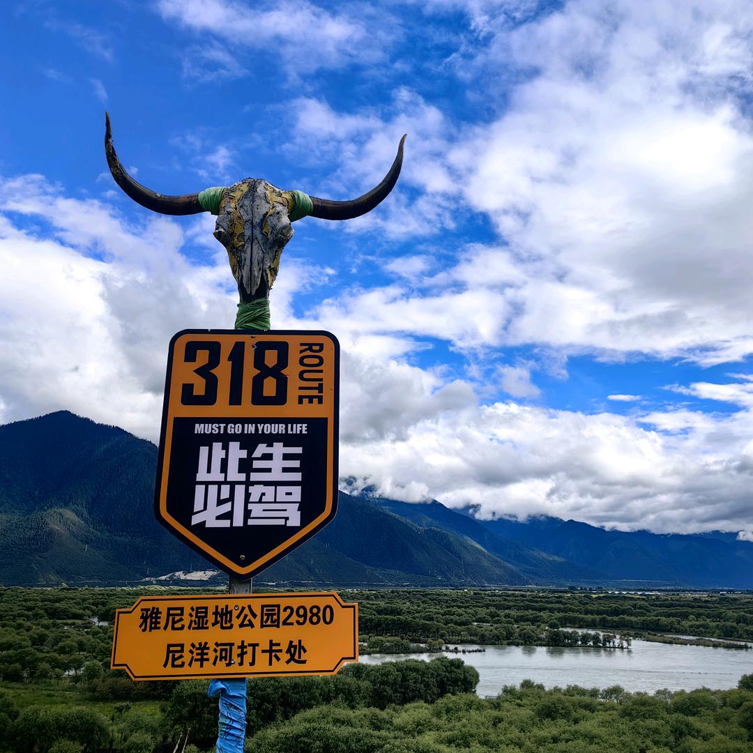 会呼吸的痛（退网版）