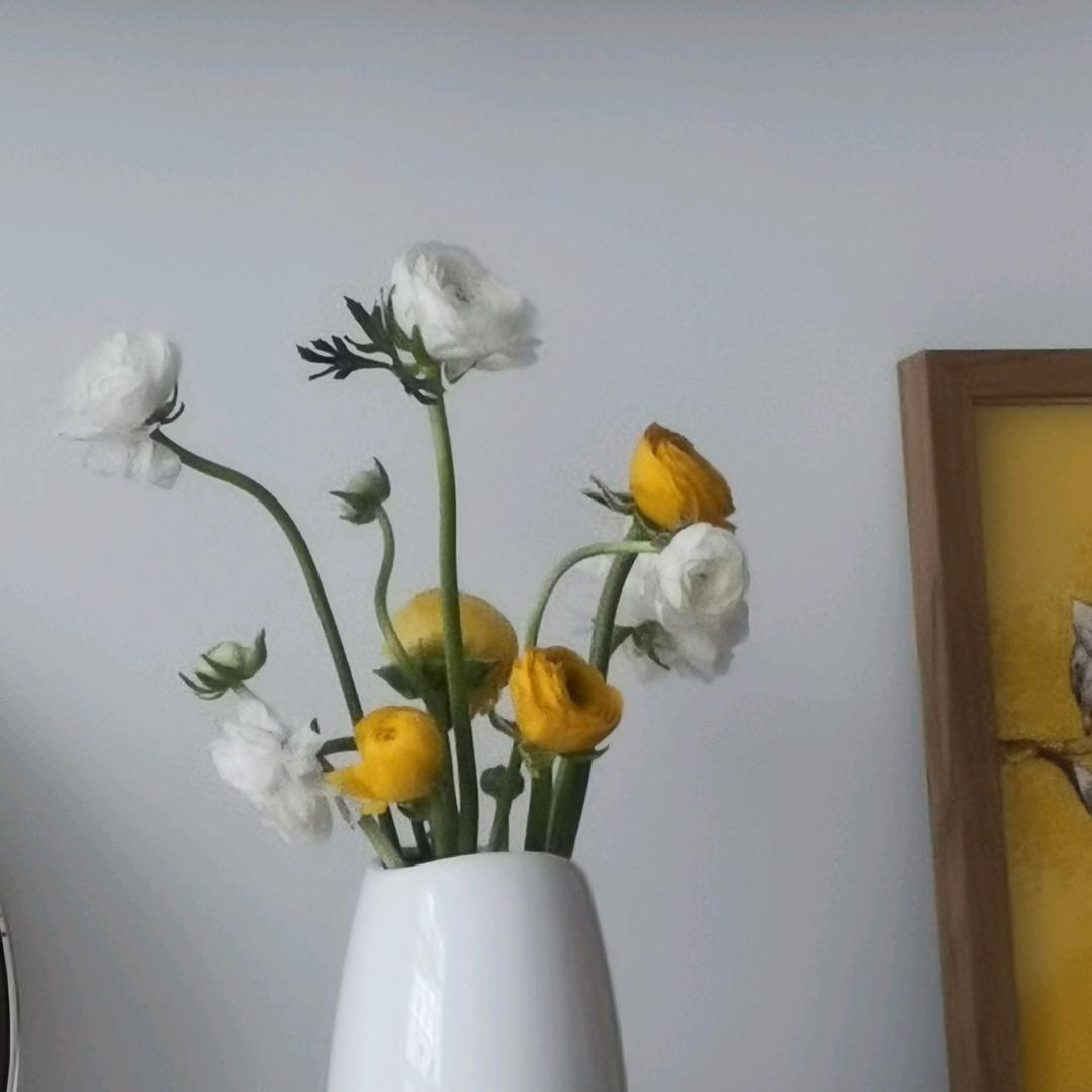 岁月如歌*