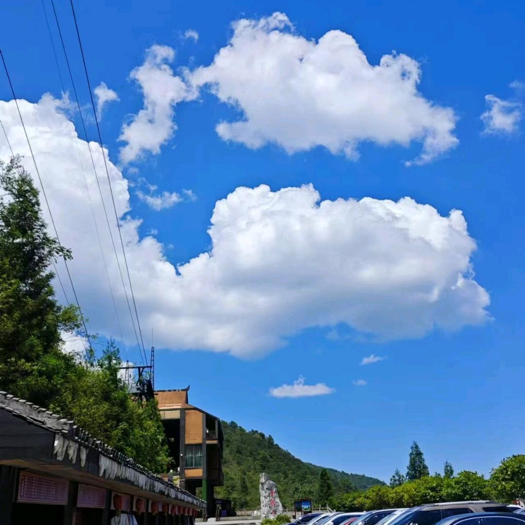 与时光共舞