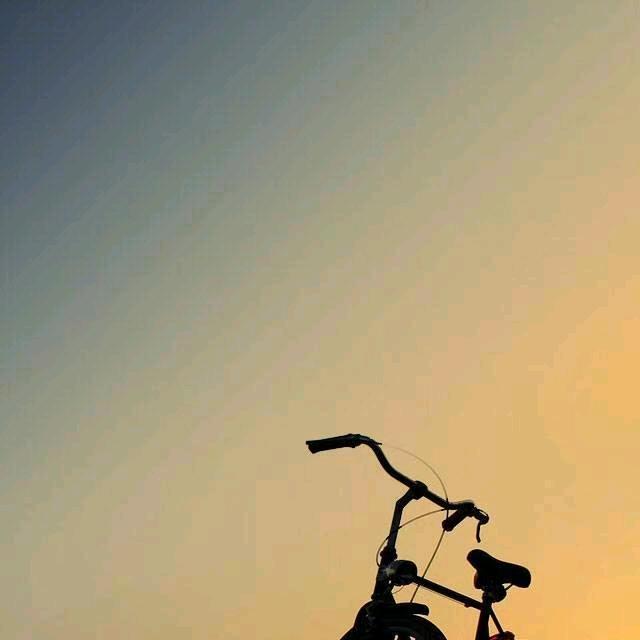 随心