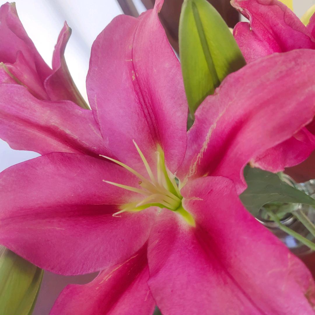 岁月静好，平安顺遂