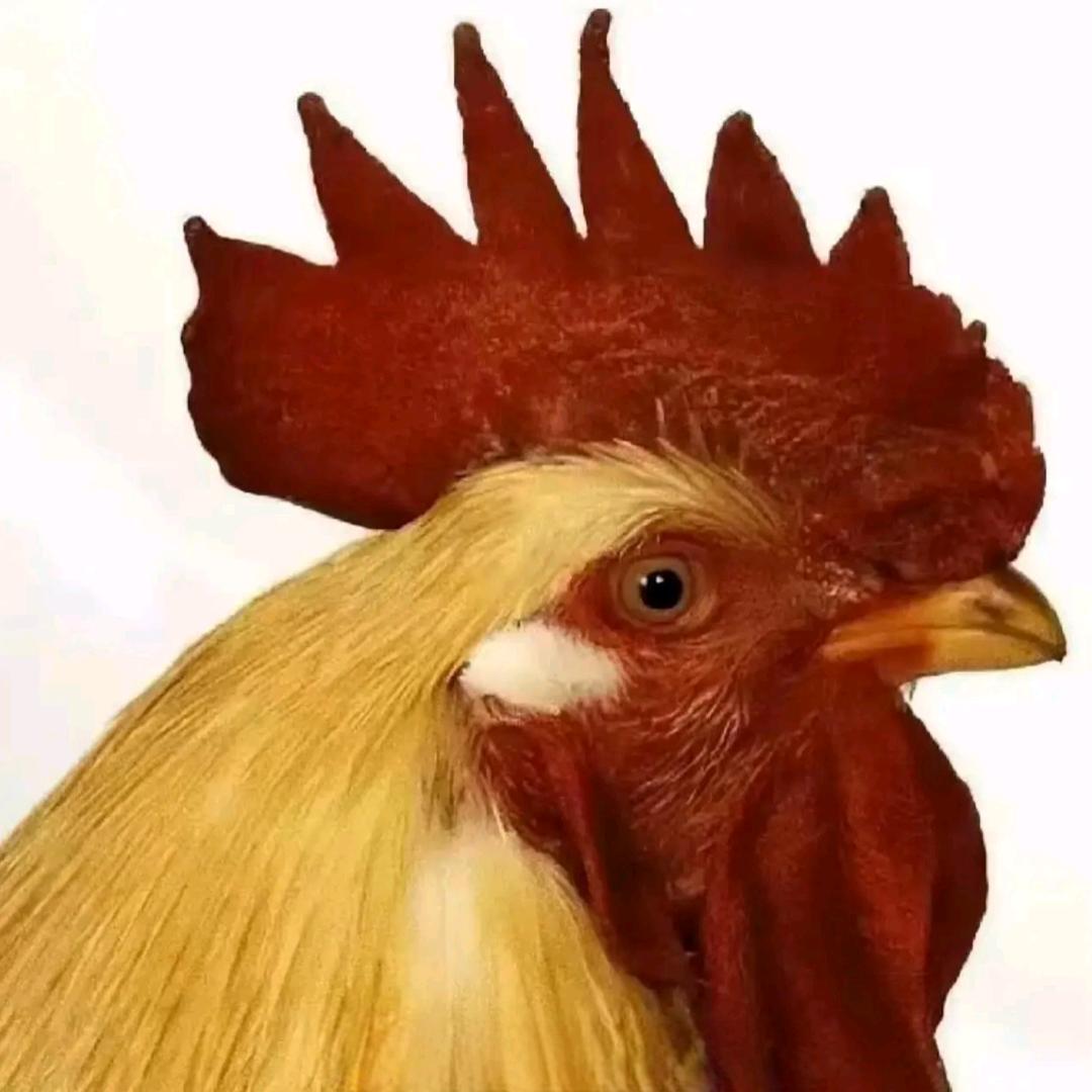 🙃