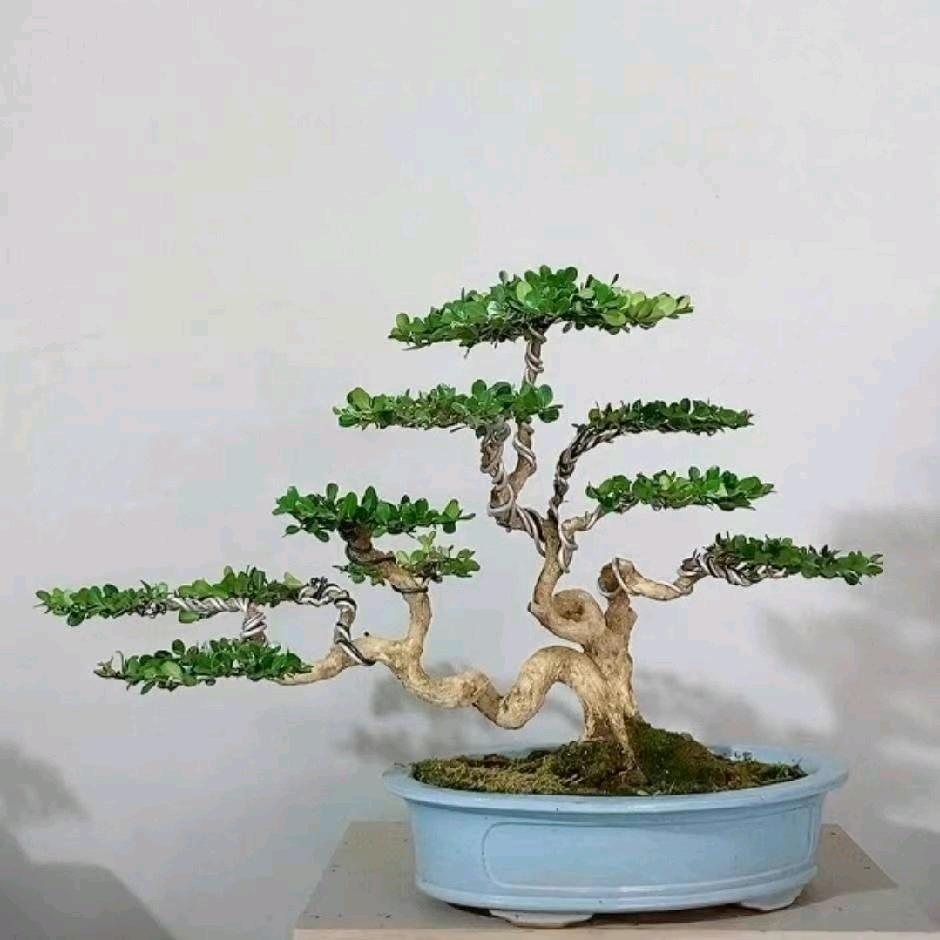 亲情暖人心