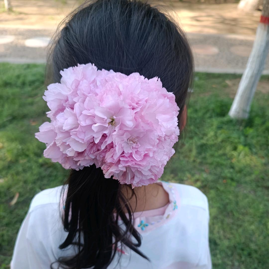 简单的家