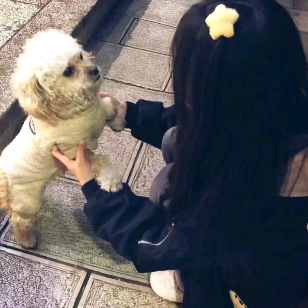 Fidnk头像