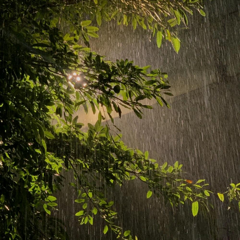 ℒᎭℯ⃝只看ᝰꪊ༼不说℘࿐ᩚ