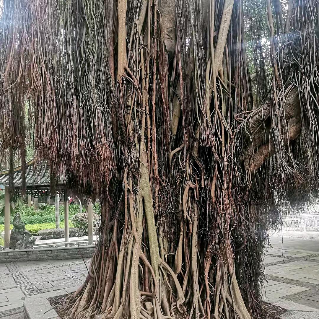 此生有你