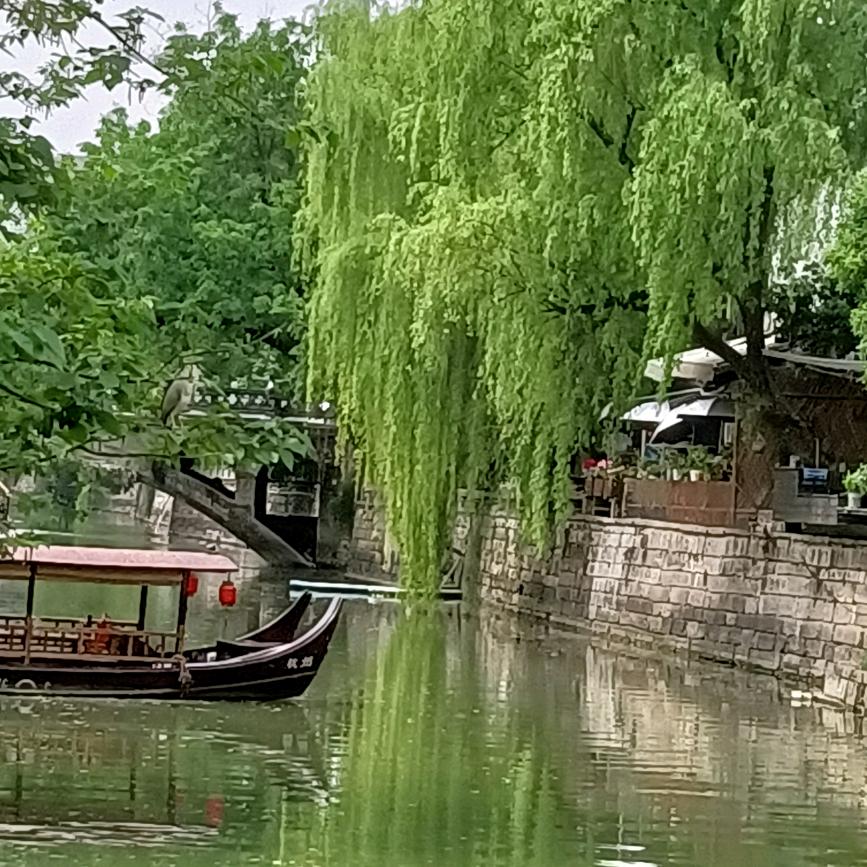 承诺今生
