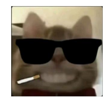 我嘞个豆豆豆啊