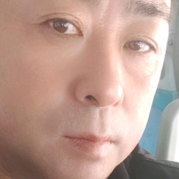 故乡的白桦林