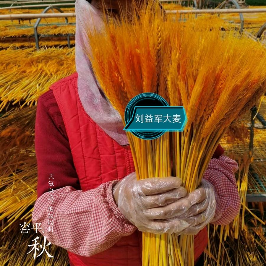 沭阳县李恒镇刘益军礼品鲜花店