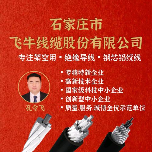 石家庄市飞牛线缆股份有限公司