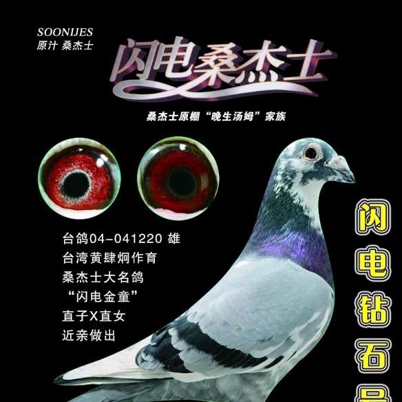 桥哥桑杰士