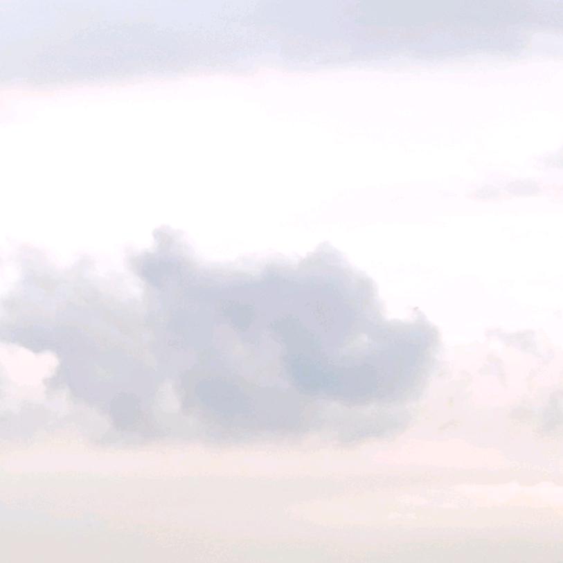 潮汕粽子家的味道