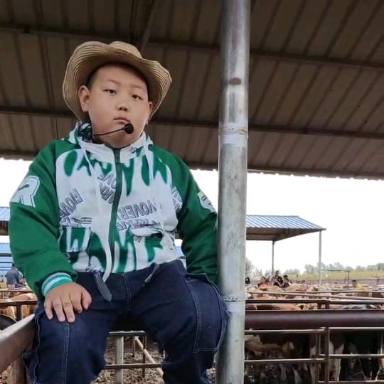 通辽小牛贩（小胖）