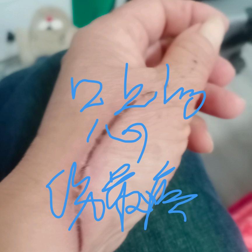 怎么高兴就怎么活