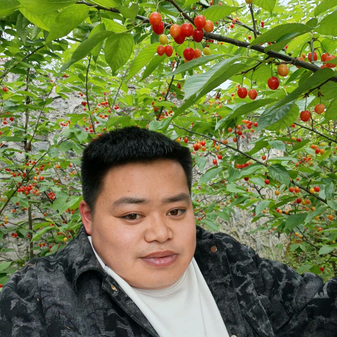 ꧁星辰耀眼꧂