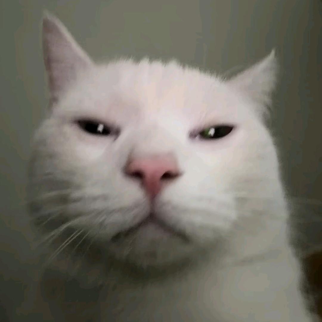 寻澈