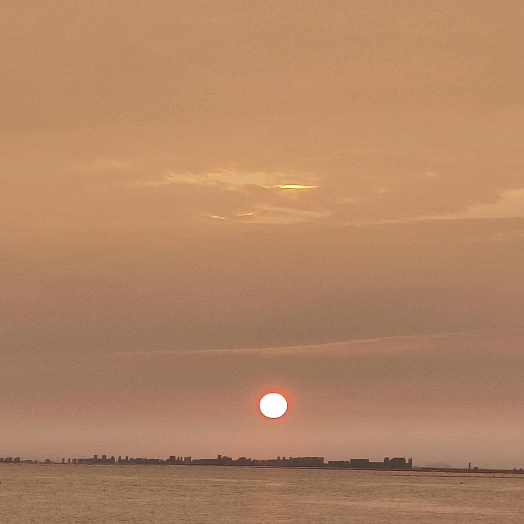 🐉⁰⁷.₂₉沈℘࿐