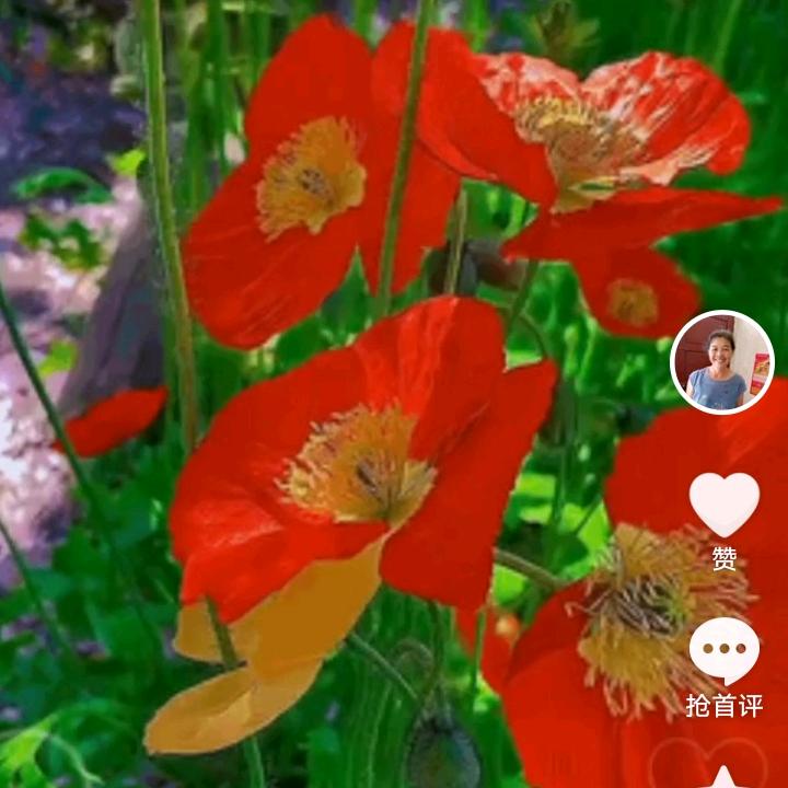 明蓉蓉