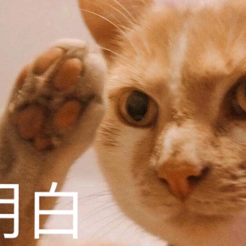 精选好物