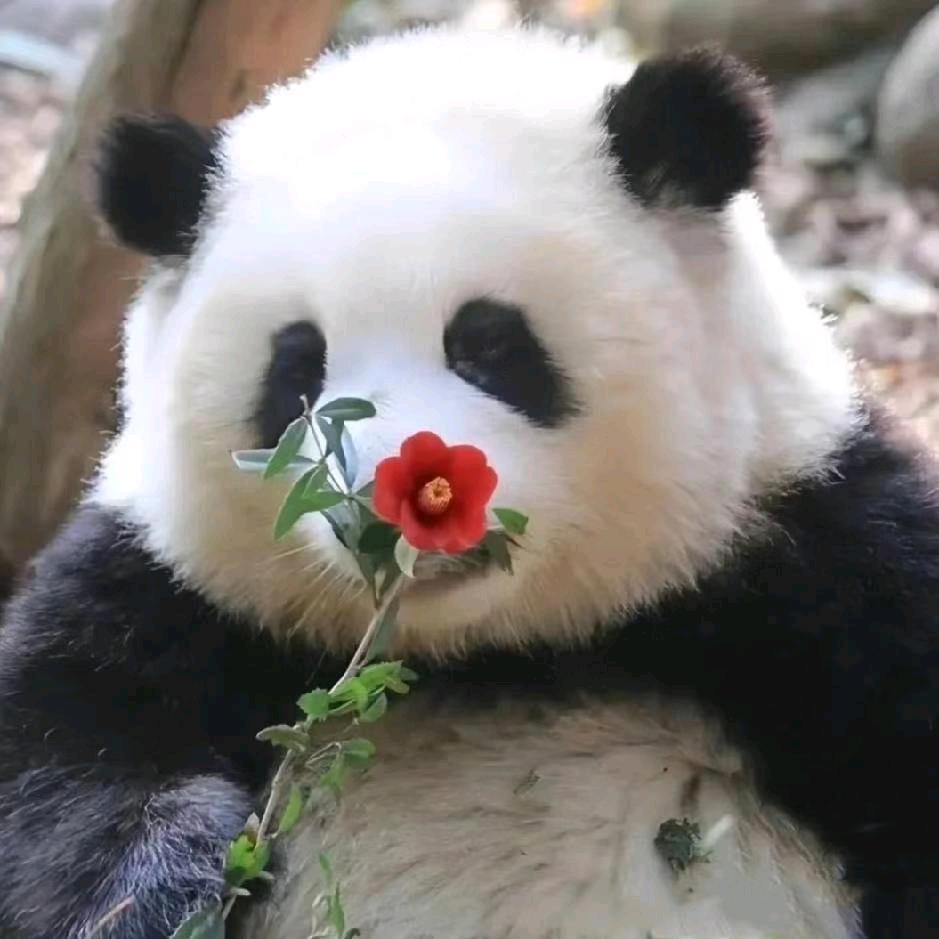 补药再学辣