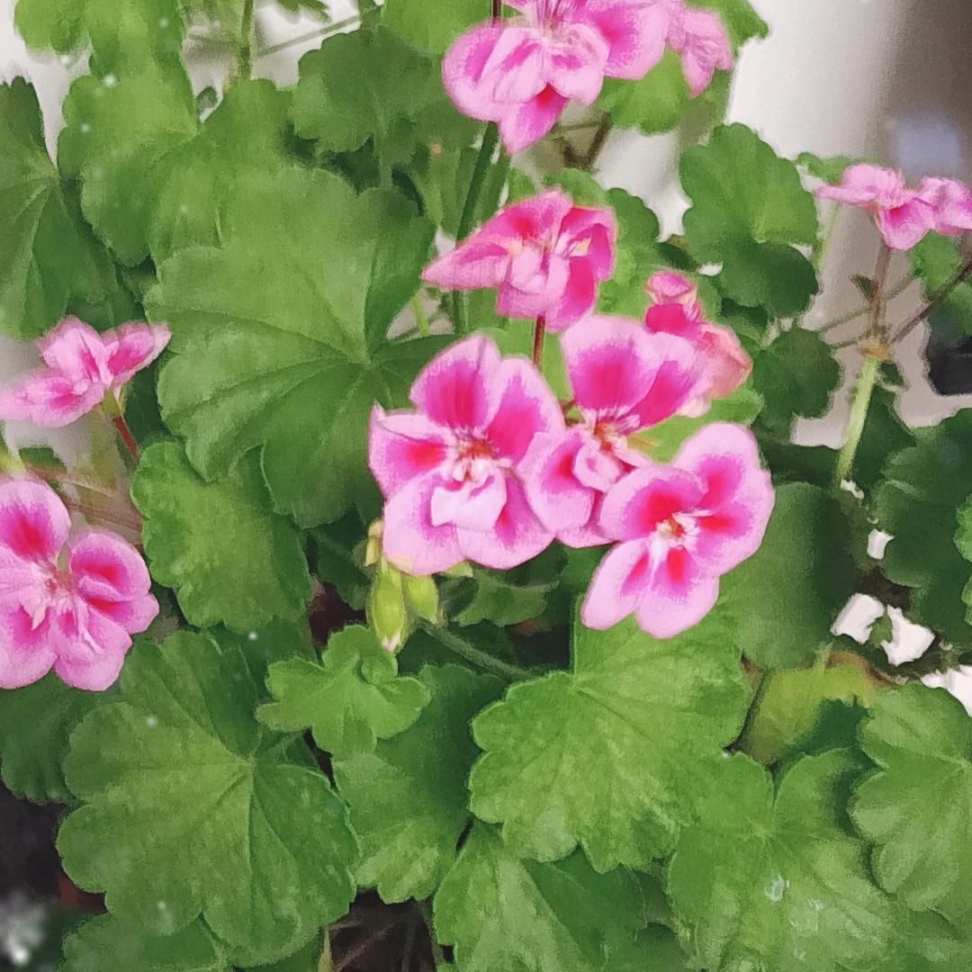 情感互动直播，，，