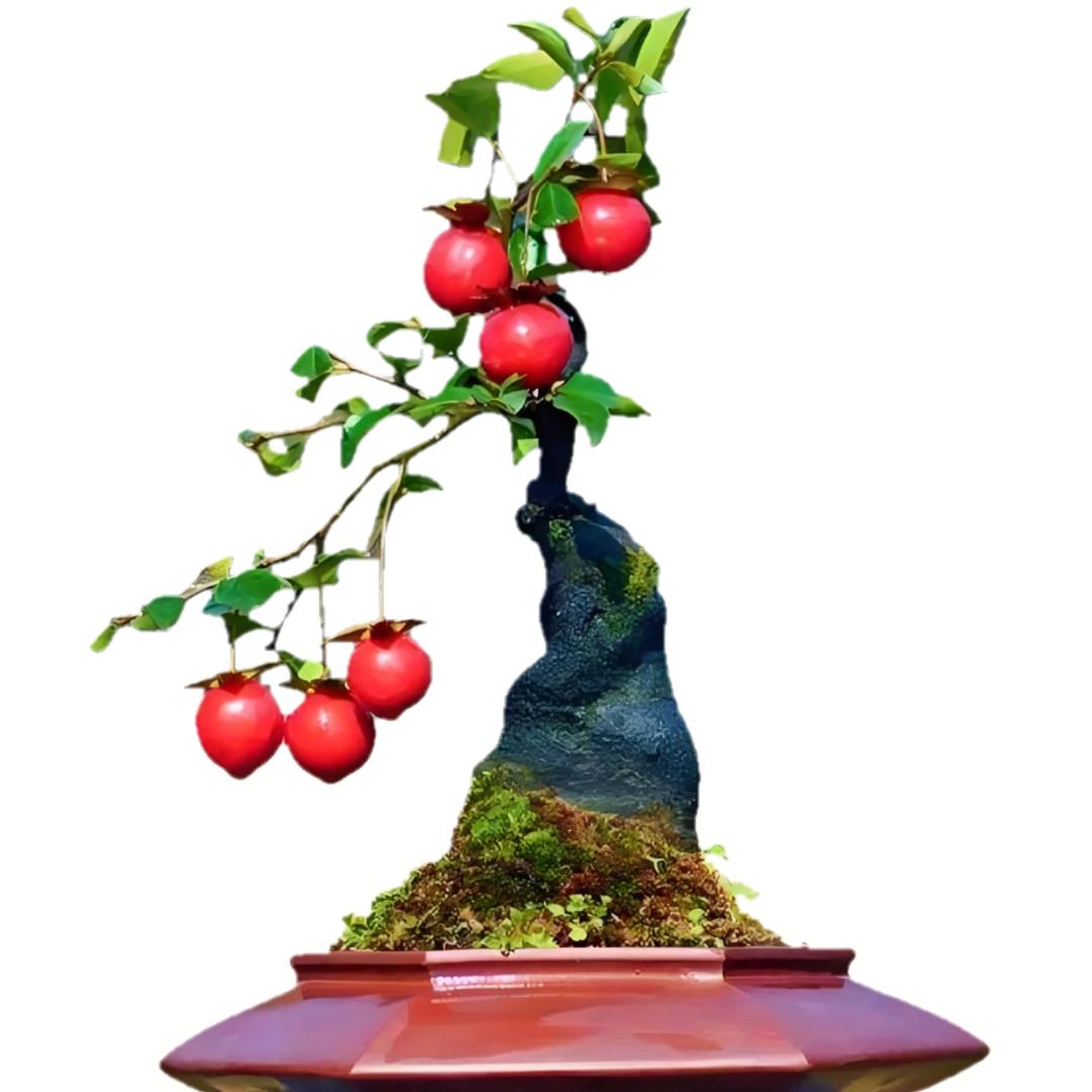 鹏欣农场优品小铺