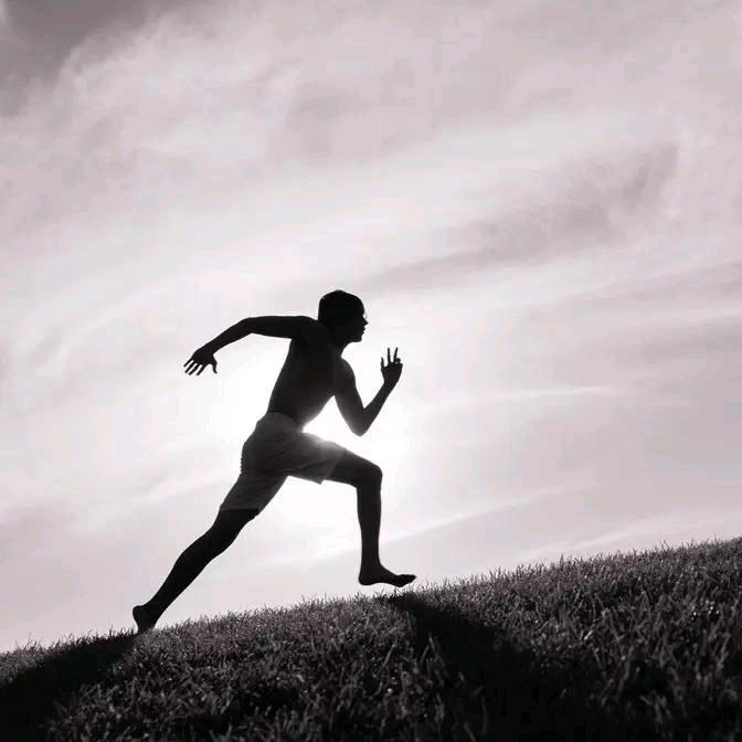新农小叶
