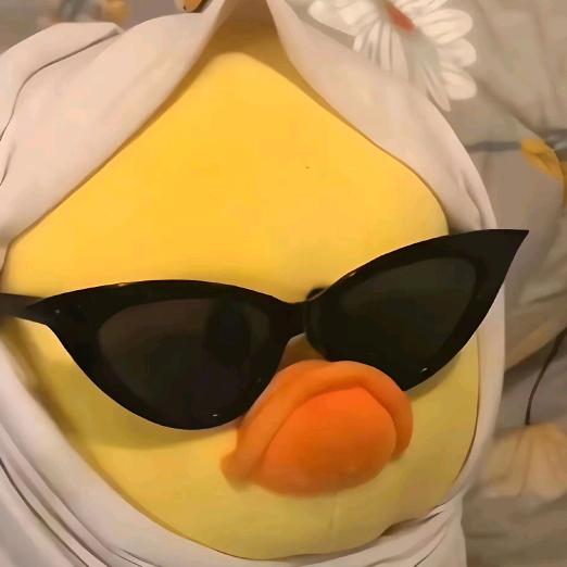 话痨准大学生（暑假放松版）