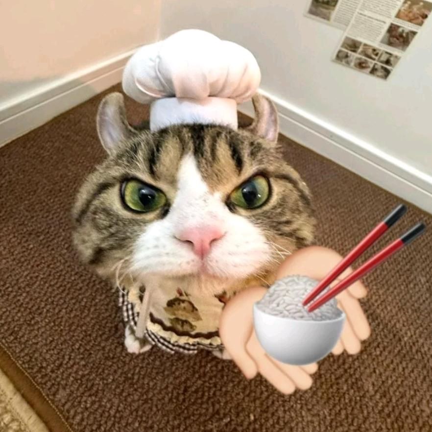 无机盐🧂