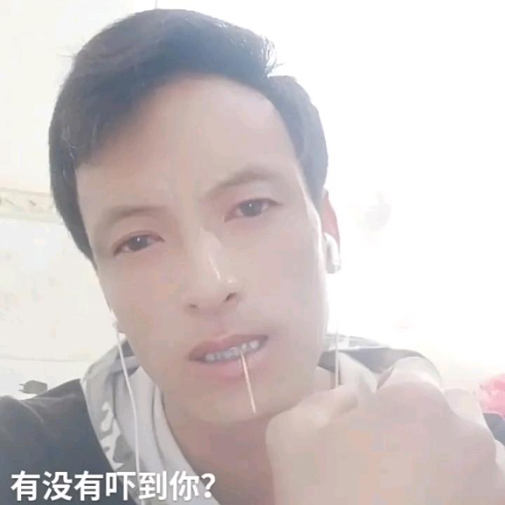 浪迹天涯