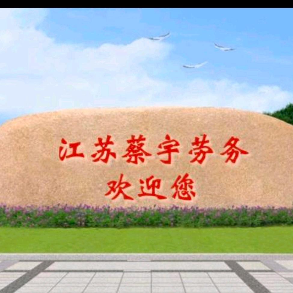 蔡宇劳务