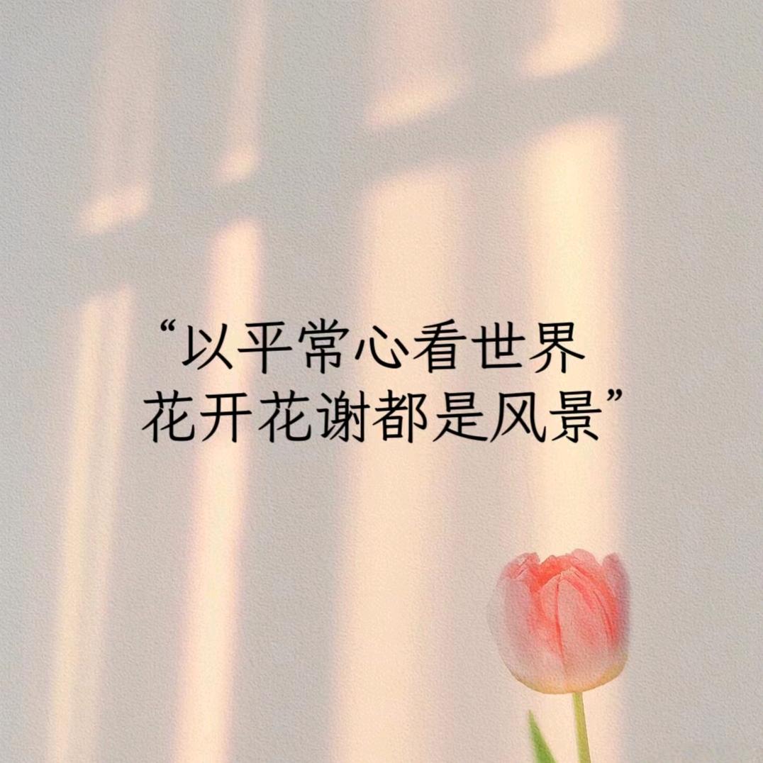 欣怡鲜花
