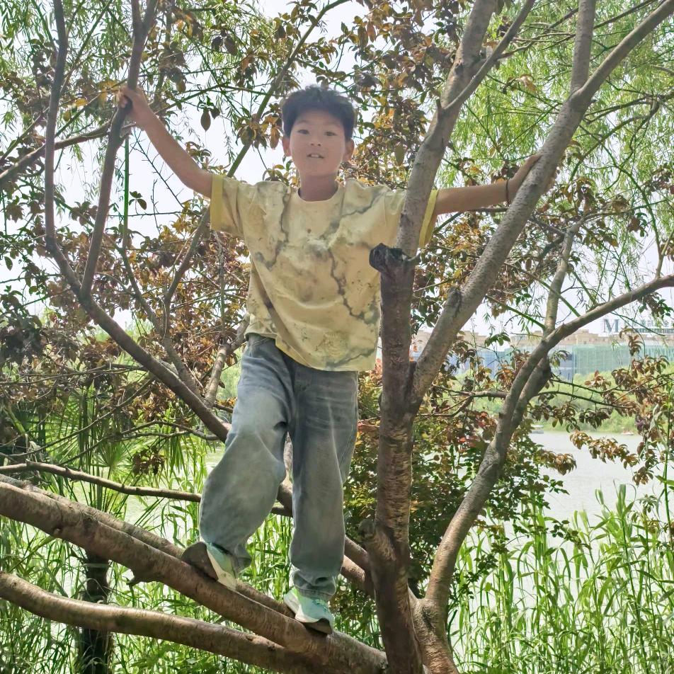 木易楊( ﹡ˆoˆ﹡ )