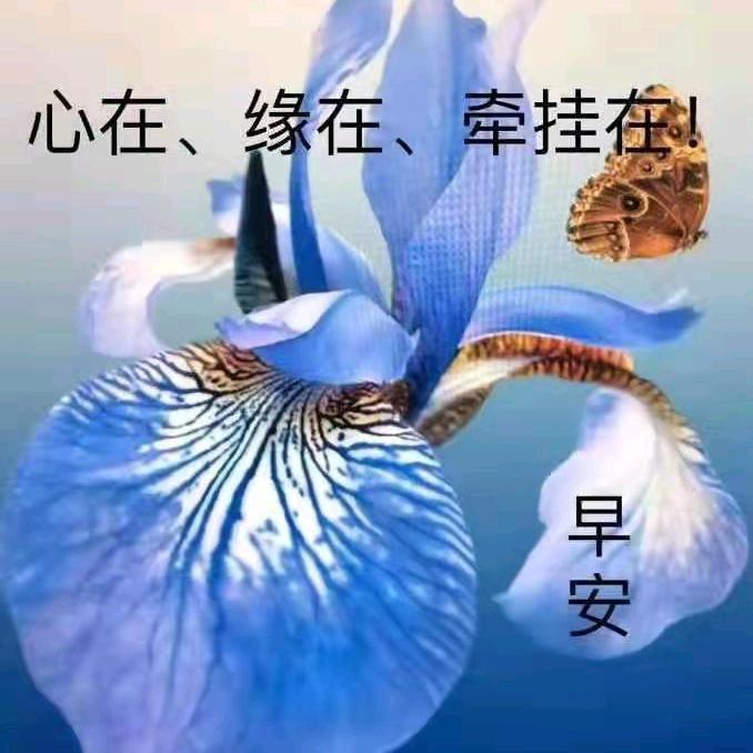 铁路快客