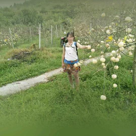 顺风顺水