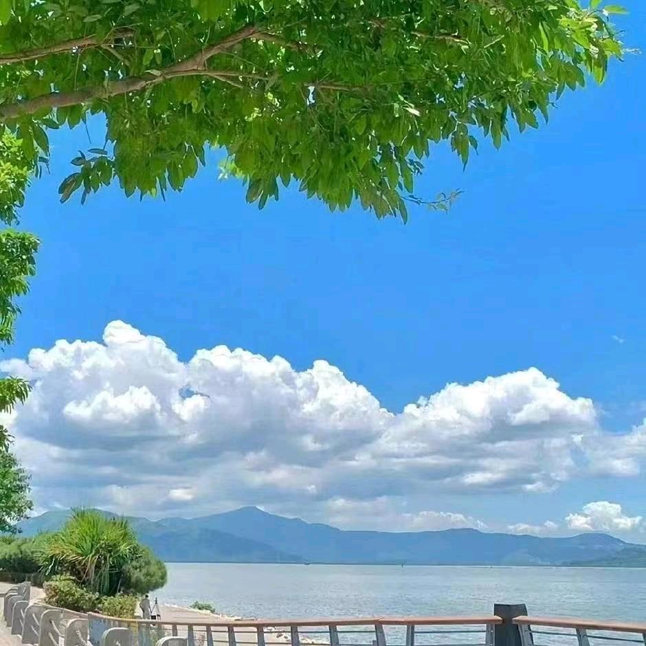 邵光容