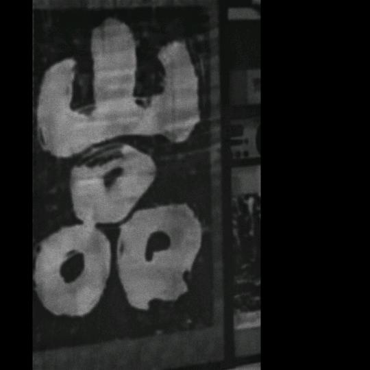 石家庄书法文老师『樂真書院』