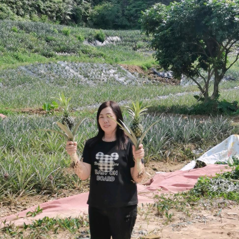 清姨农场（小月）