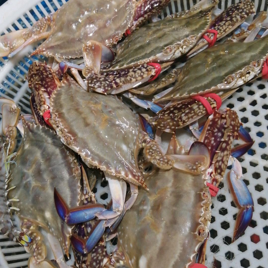 十月小海鲜